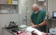 Bayview Vets - thumb 11