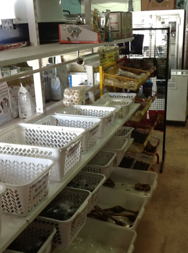 Bazza's Pet Shack - Vets Adelaide 4