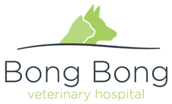 BONG BONG VETerinary Hospital - Vets Adelaide 0