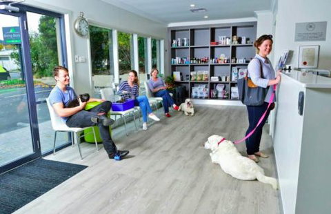 BONG BONG VETerinary Hospital - Vets Adelaide 5