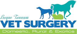 Boyne Tannum Veterinary Surgery - Vets Adelaide 0