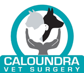  Vets Adelaide