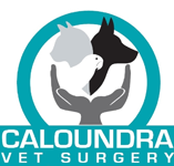 Caloundra Vet - Vets Adelaide