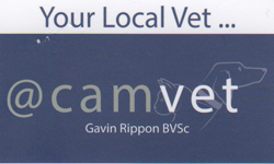 Diamond Head NSW Vets Adelaide