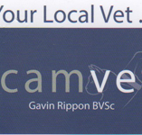 Camvet - Vets Adelaide