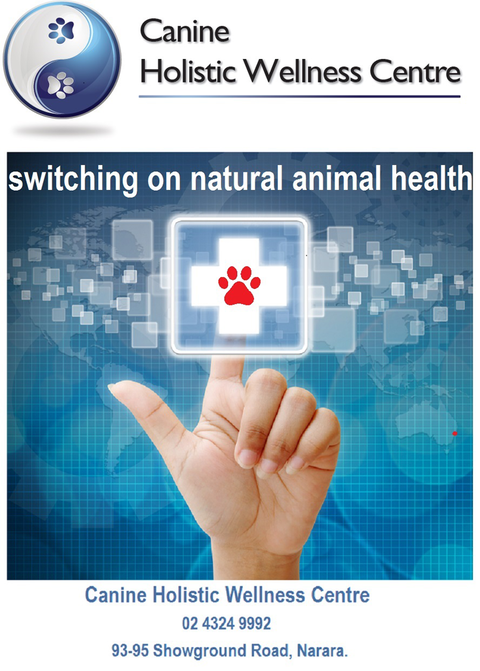 Canine Holistic Wellness Centre - Vets Adelaide 2