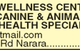 Canine Holistic Wellness Centre - thumb 9