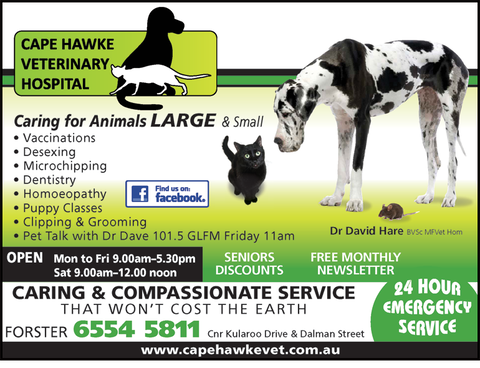 Cape Hawke Veterinary Hospital - Vets Adelaide 1