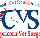 Capricorn Vet Surgery - Vets Adelaide
