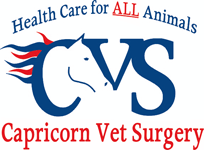 Capricorn Vet Surgery - Vets Adelaide 0