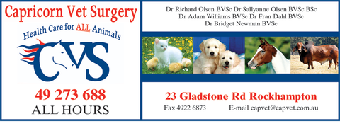 Capricorn Vet Surgery - Vets Adelaide 4