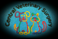 Central Veterinary Surgery