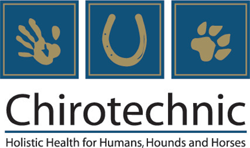 Chirotechnic - Vets Adelaide 0