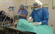 Coast Animal Health - thumb 5