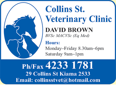 Collins St Veterinary Clinic - Vets Adelaide 1