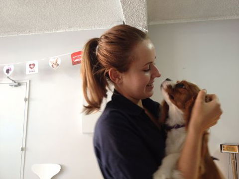 Cooks Hill Veterinary Clinic - Vets Adelaide 5