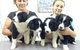 Cooroy Veterinary Surgery - thumb 3