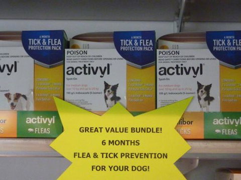 Cooroy Veterinary Surgery - Vets Adelaide 4