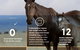 Cooroy Veterinary Surgery - thumb 5