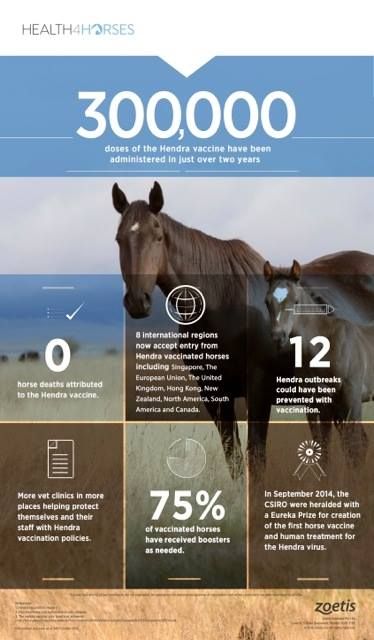 Cooroy Veterinary Surgery - Vets Adelaide 5