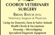Cooroy Veterinary Surgery - thumb 6