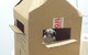 Cooroy Veterinary Surgery - thumb 12