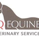 CQ Equine Veterinary Service - Vets Adelaide