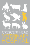  Vets Adelaide