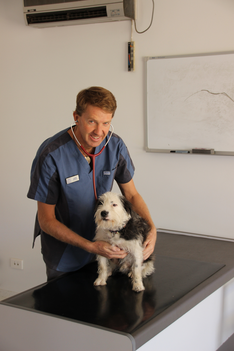 Desert Oaks Veterinary Clinic Pty Ltd - Vets Adelaide 4