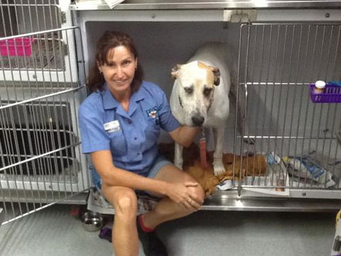 Faye McPherson - Vets Adelaide 3