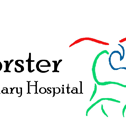 Forster Veterinary Hospital - Vets Adelaide