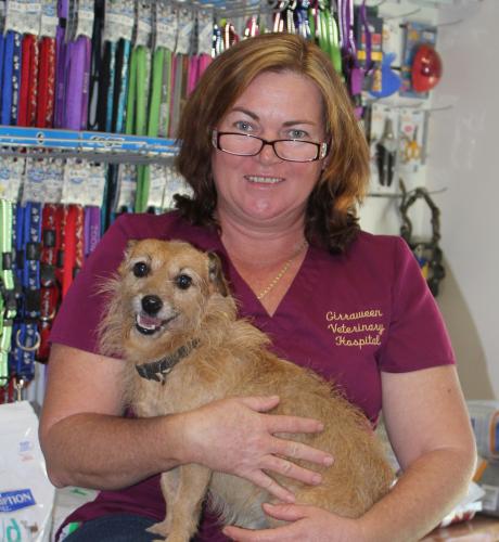 Girraween Veterinary Hospital - Vets Adelaide 2