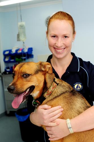 Gladstone Veterinary Clinic - Vets Adelaide 5