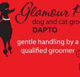 Glamour Pets