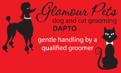 Glamour Pets - Vets Adelaide 0