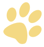 Glamour Pets - Vets Adelaide 11