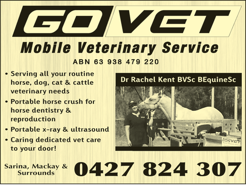 Go Vet Mobile Veterinary Service - Vets Adelaide 1