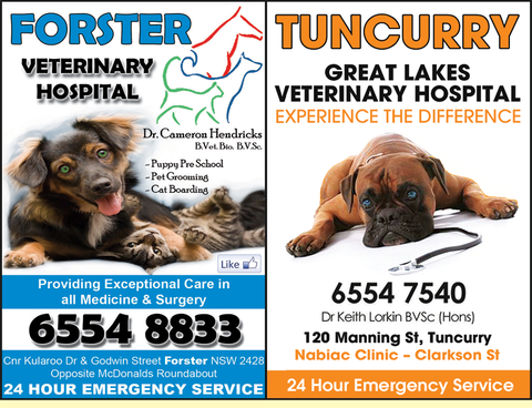 Great Lakes Veterinary Hospital - Vets Adelaide 2