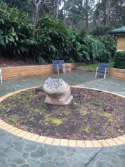 Green Point Veterinary Hospital - Vets Adelaide 3