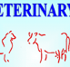 Gympie Veterinary Services - Vets Adelaide