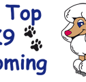 Hill Top K9 Grooming - Vets Adelaide