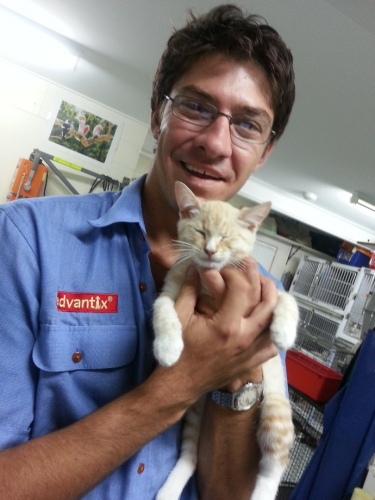 Jack Wall - Vets Adelaide 1