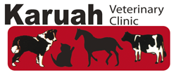 Karuah Veterinary Clinic - Vets Adelaide 0