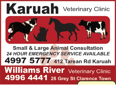 Karuah Veterinary Clinic - Vets Adelaide 4