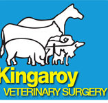 Kingaroy Veterinary Surgery - Vets Adelaide
