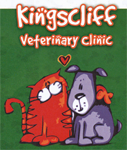 Kingscliff Veterinary Hospital - Vets Adelaide 0