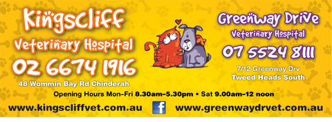 Kingscliff Veterinary Hospital - Vets Adelaide 1
