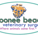 Layla Powell - Vets Adelaide