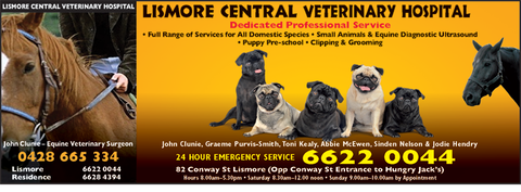 Lismore Central Veterinary Hospital - Vets Adelaide 3