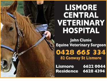 Lismore Central Veterinary Hospital - Vets Adelaide 4
